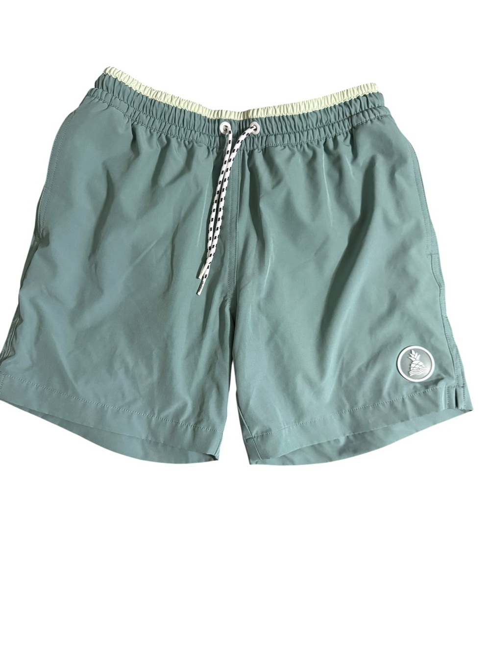 chubbies Seafoam Green Men's Swim Trunks with Pineapple Patch
